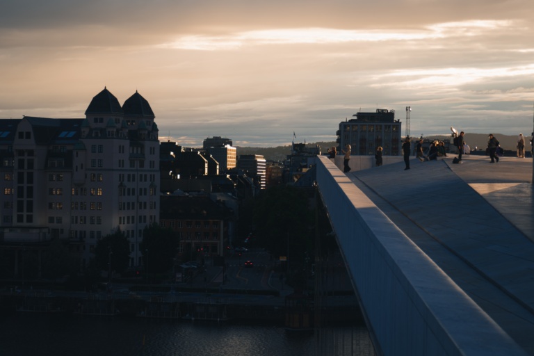 Vi tilbyr megler- og rådgivningstjenester innen alle typer segmenter, eksempelvis kontor, lager og logistikk, hotell, handel, boligutleieblokker, utviklingsprosjekter (bolig og næring) og samfunnseiendom.